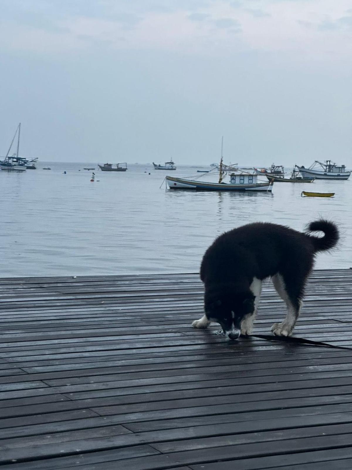 Pousada Refugio Paradisiaco 1 Piçarras Dış mekan fotoğraf